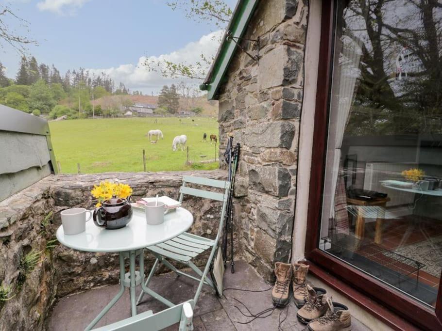 Y Gribyn - Modern Stone Cottage Within Snowdonia'S National Park Долгеллау Экстерьер фото