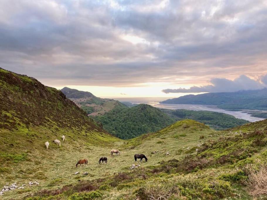 Y Gribyn - Modern Stone Cottage Within Snowdonia'S National Park Долгеллау Экстерьер фото