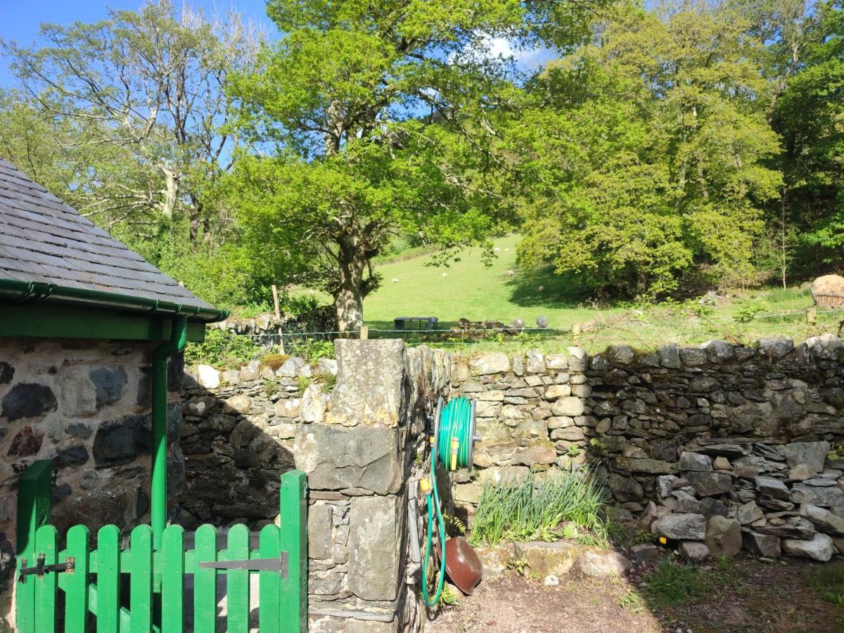 Y Gribyn - Modern Stone Cottage Within Snowdonia'S National Park Долгеллау Экстерьер фото
