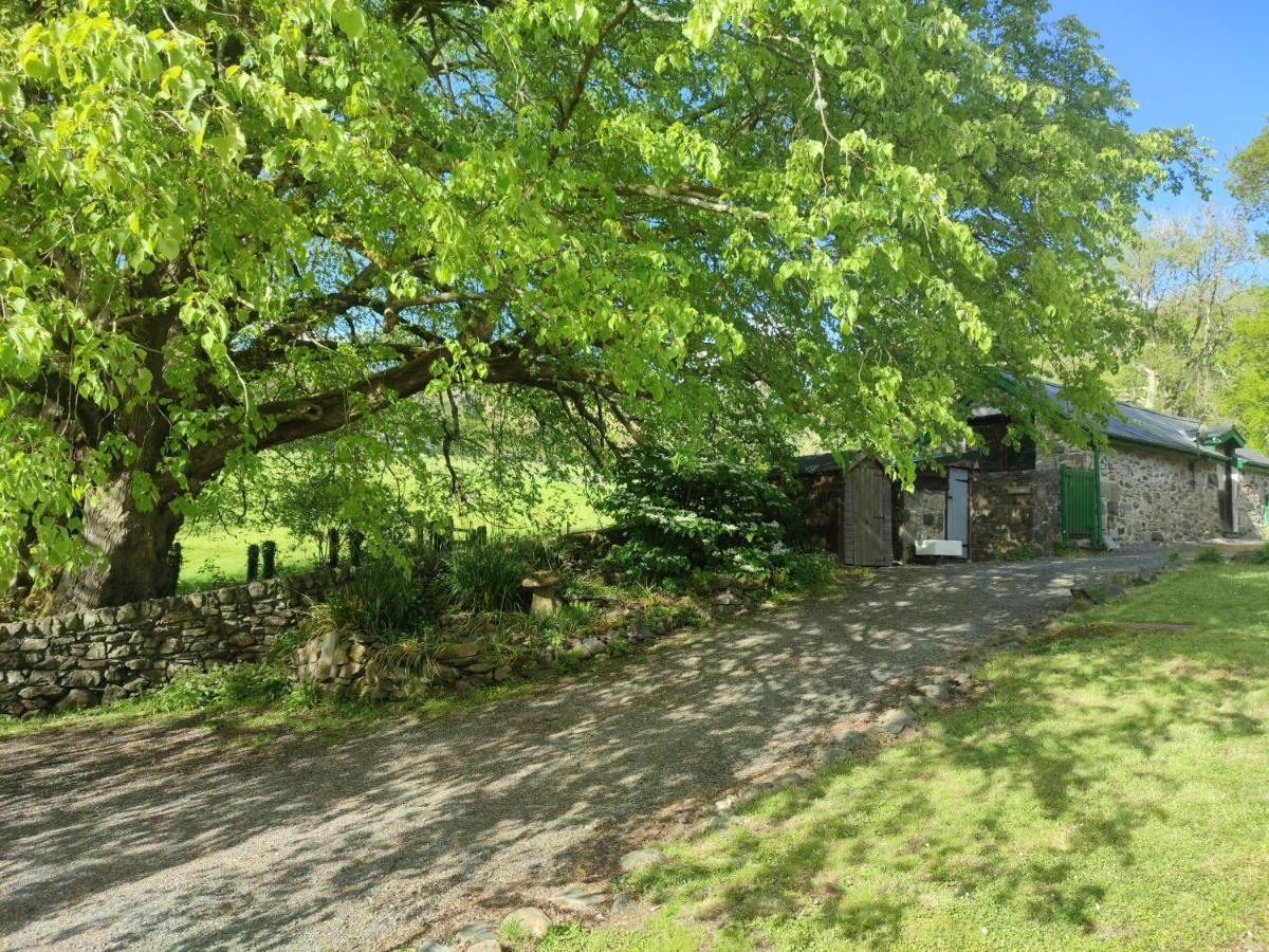 Y Gribyn - Modern Stone Cottage Within Snowdonia'S National Park Долгеллау Экстерьер фото